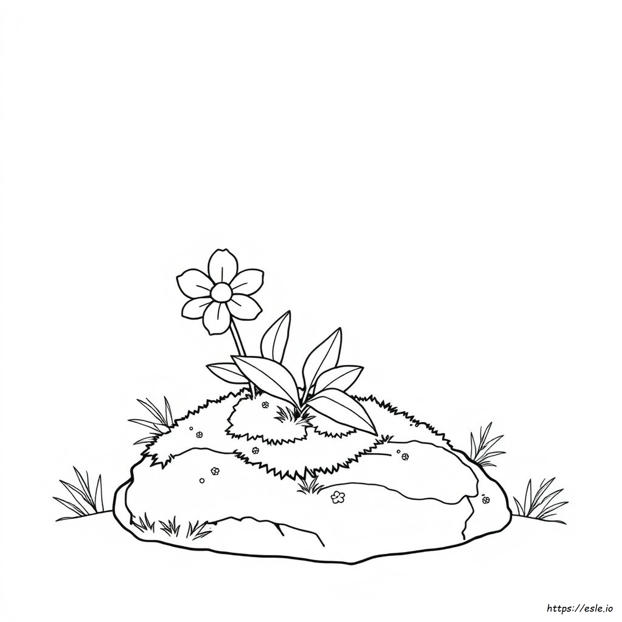 Relaxation Flower Coloring Pages For Adults