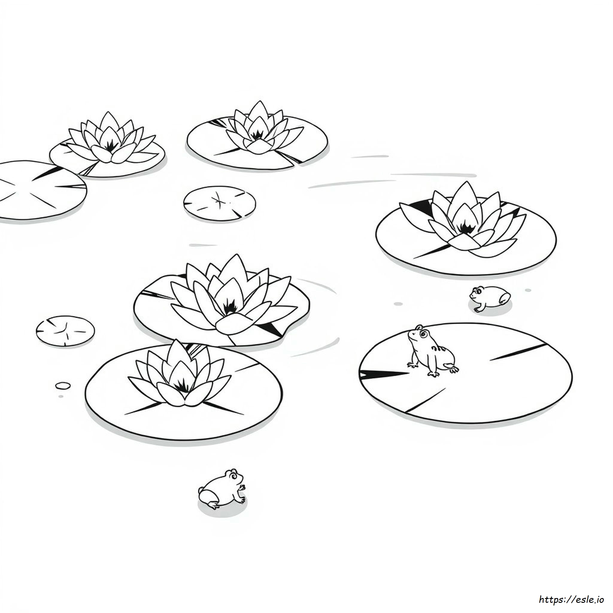 Lily Pad Colouring Page