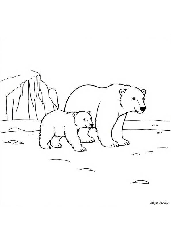 Oso Polar Bebé Para Colorear