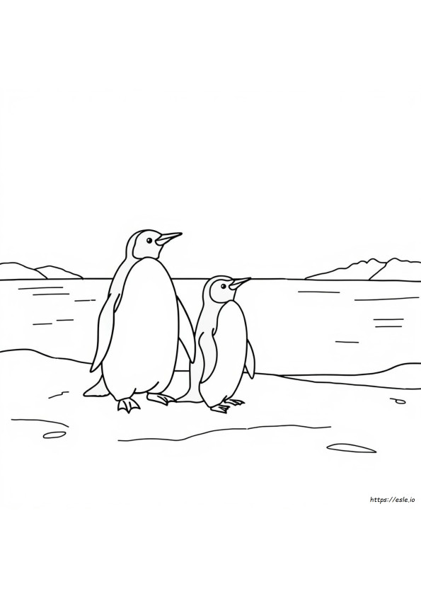 Penguin Colouring In Pages