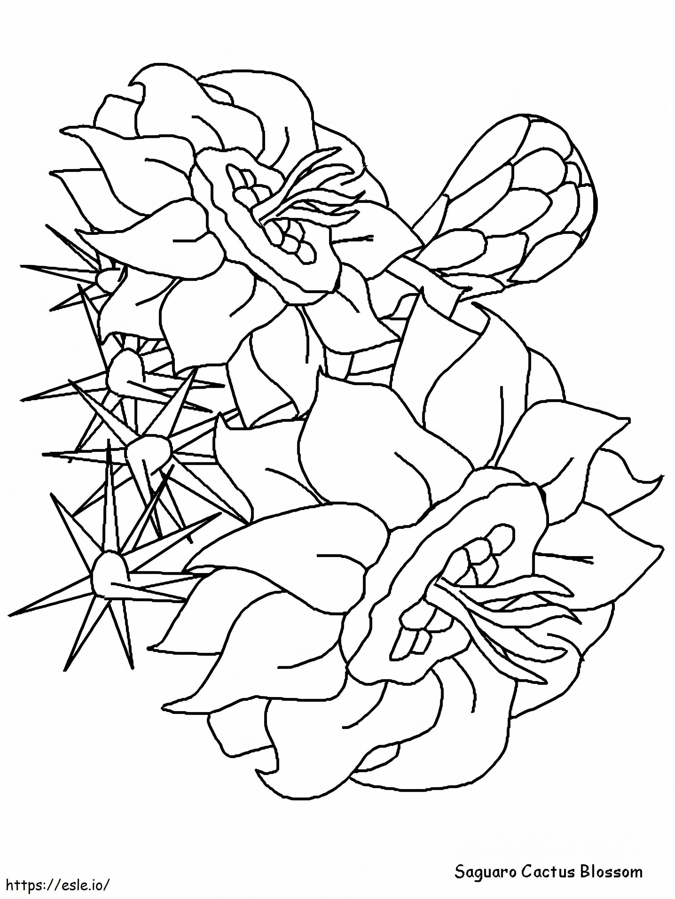 Coloriage  Saguaroblossoma4 à imprimer dessin