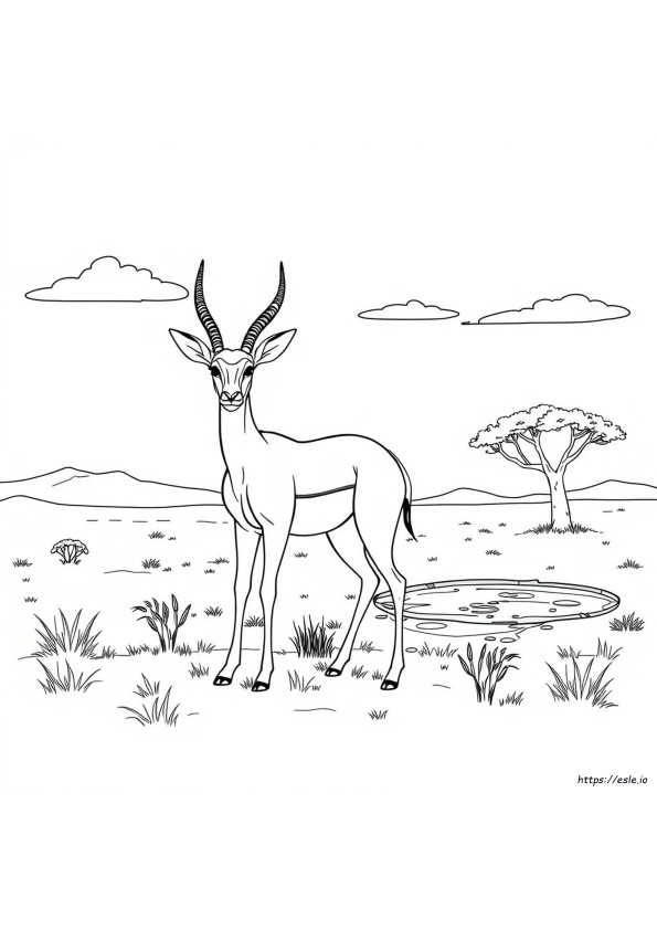 Coloriage Gazelle