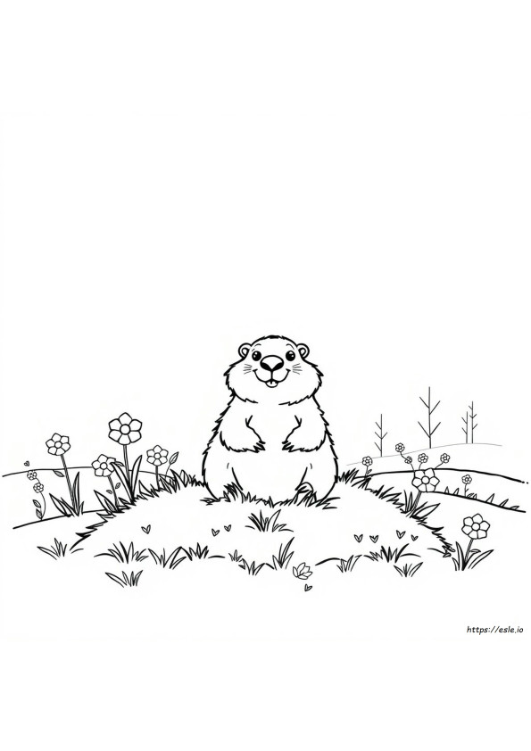 Groundhog Coloring Page Preschool