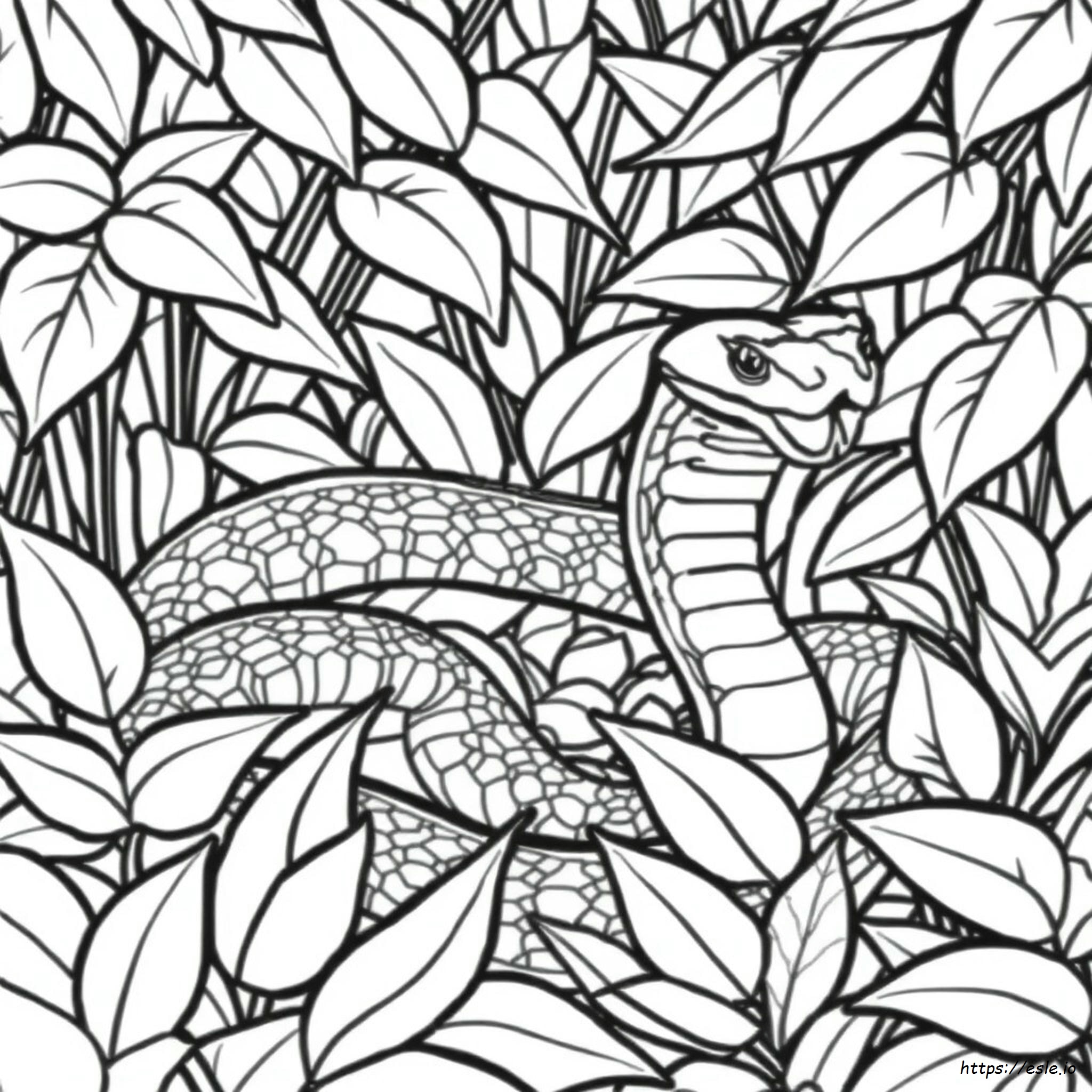 Realistic King Cobra Coloring Page