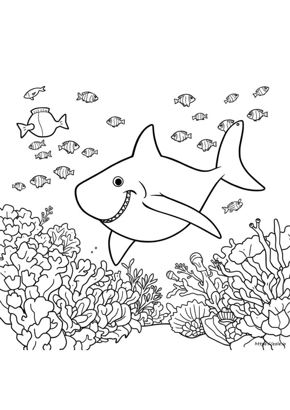 Coloriages Bruce Le Monde De Nemo