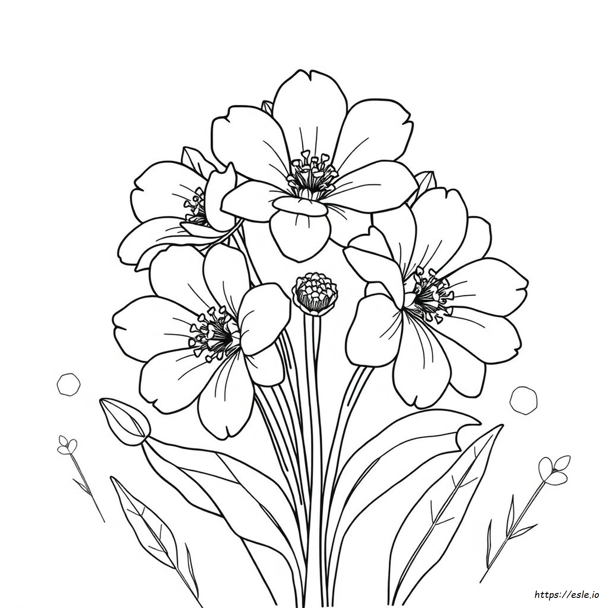 Fiori Grandi Da Colorare