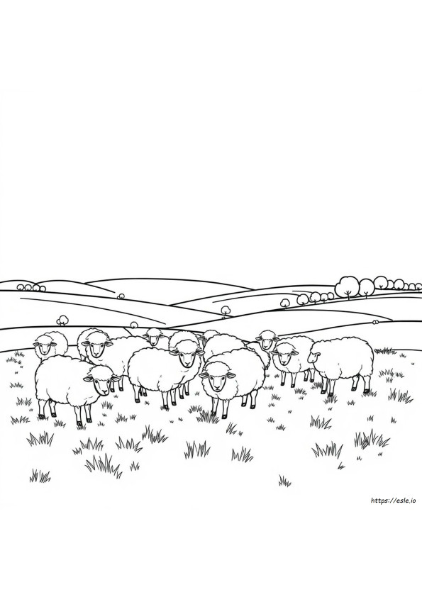 Flock Of Sheep Coloring Page