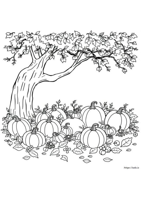 Herfst En Halloween Kleurplaten