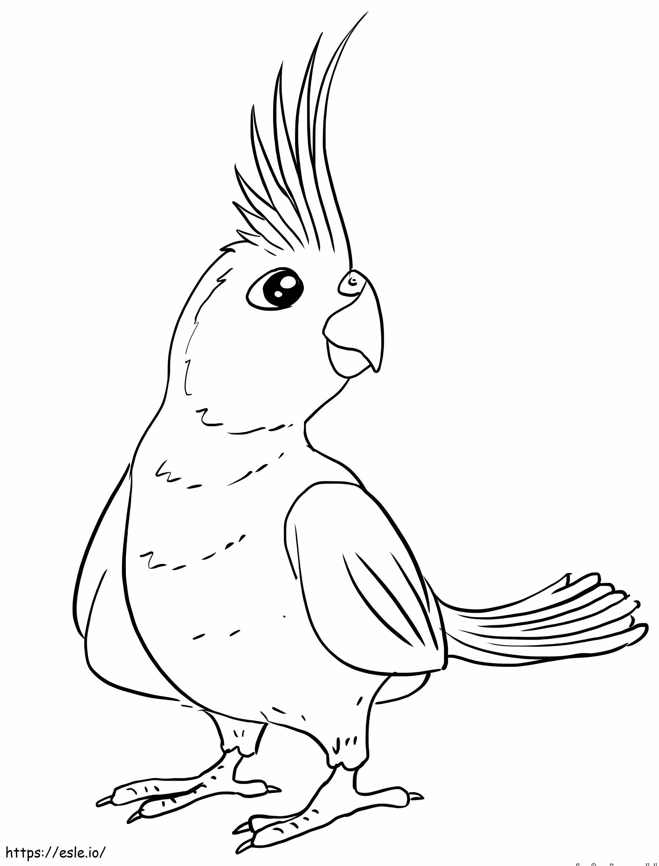 Lovely Cockatiel coloring page