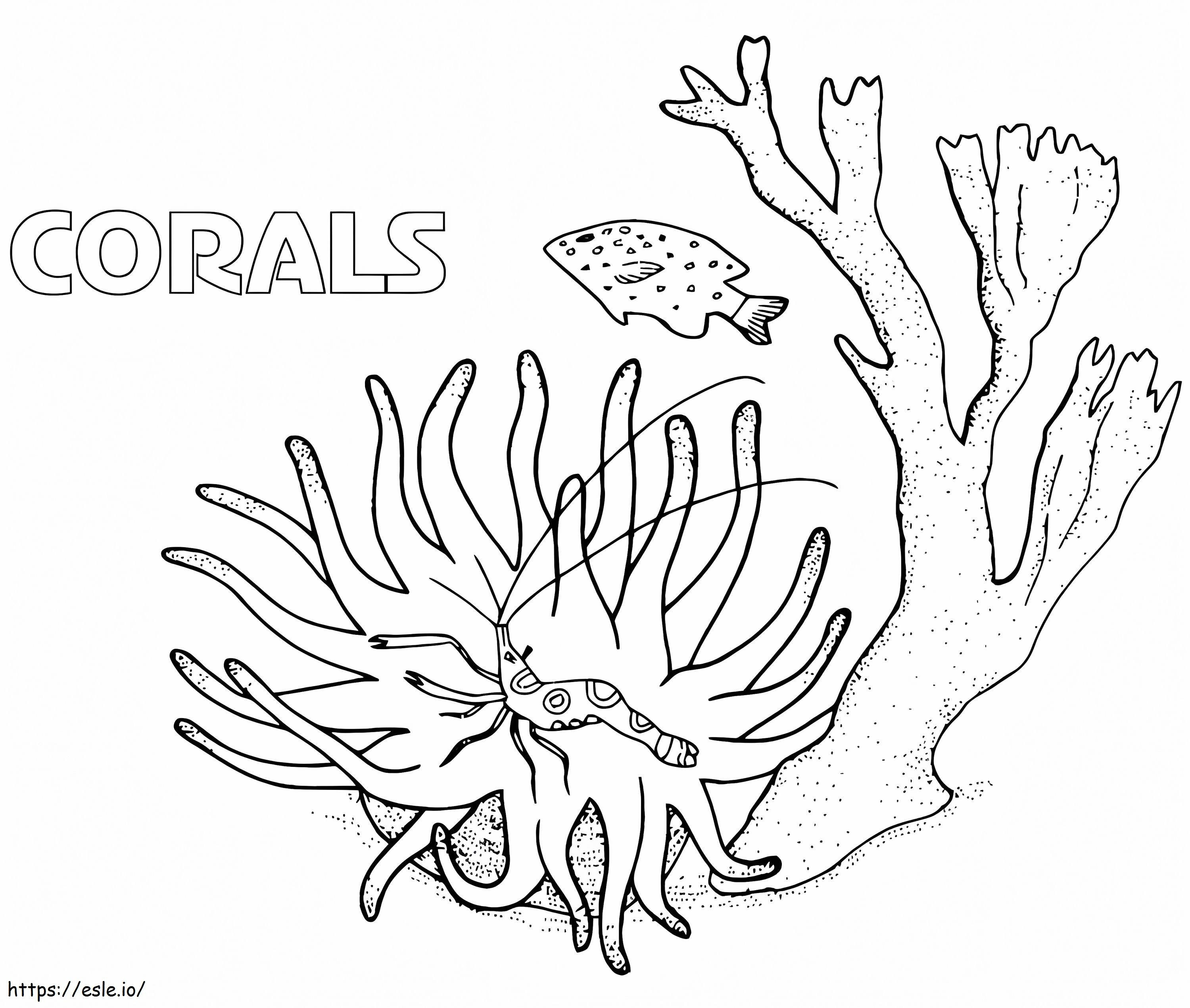 Corals coloring page