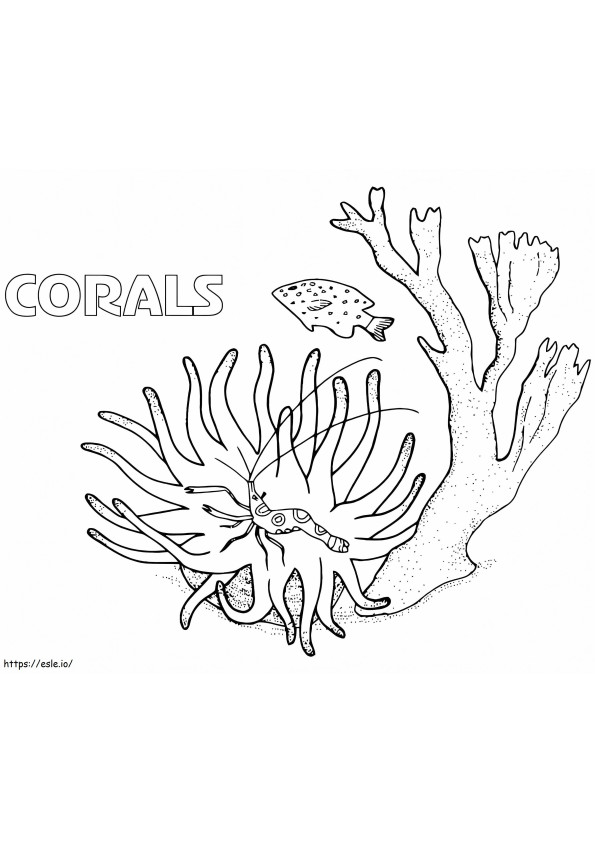 Corals coloring page