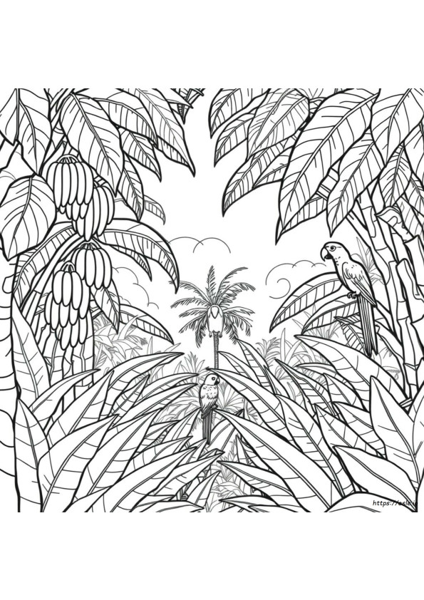 Coloriages Forêt Tropicale