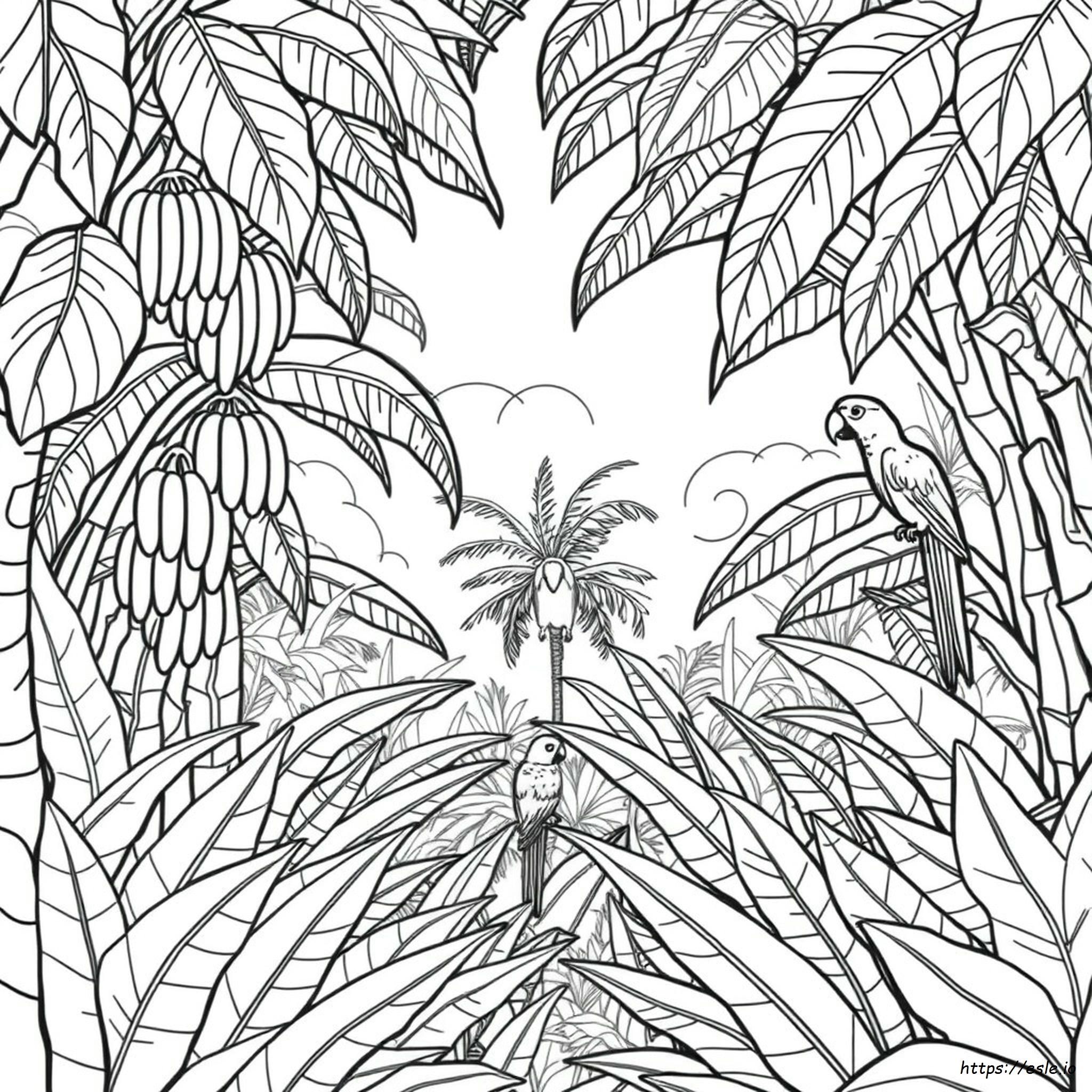 Tropical Rainforest Colouring Pages