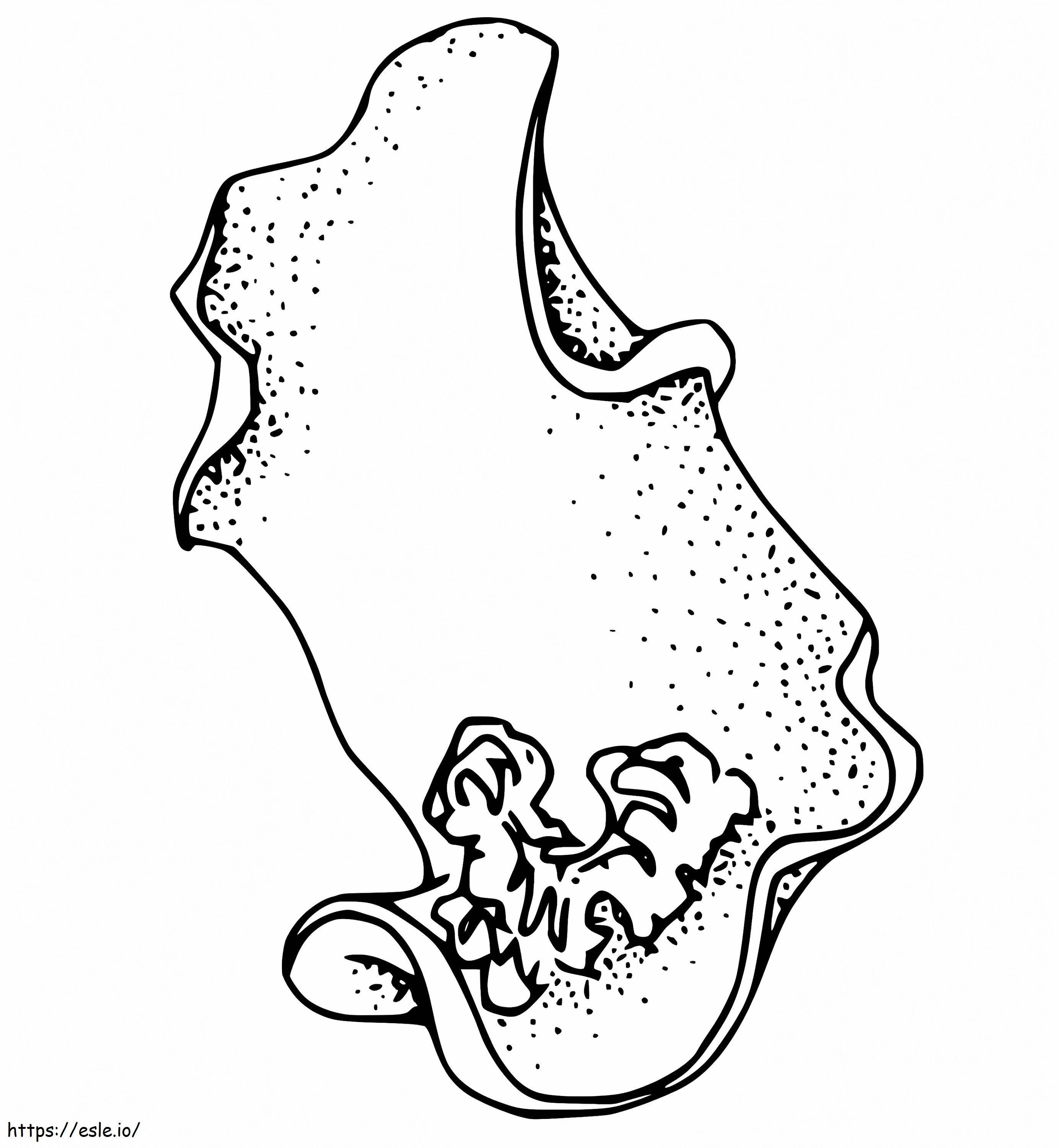 Normal Sea Slug coloring page