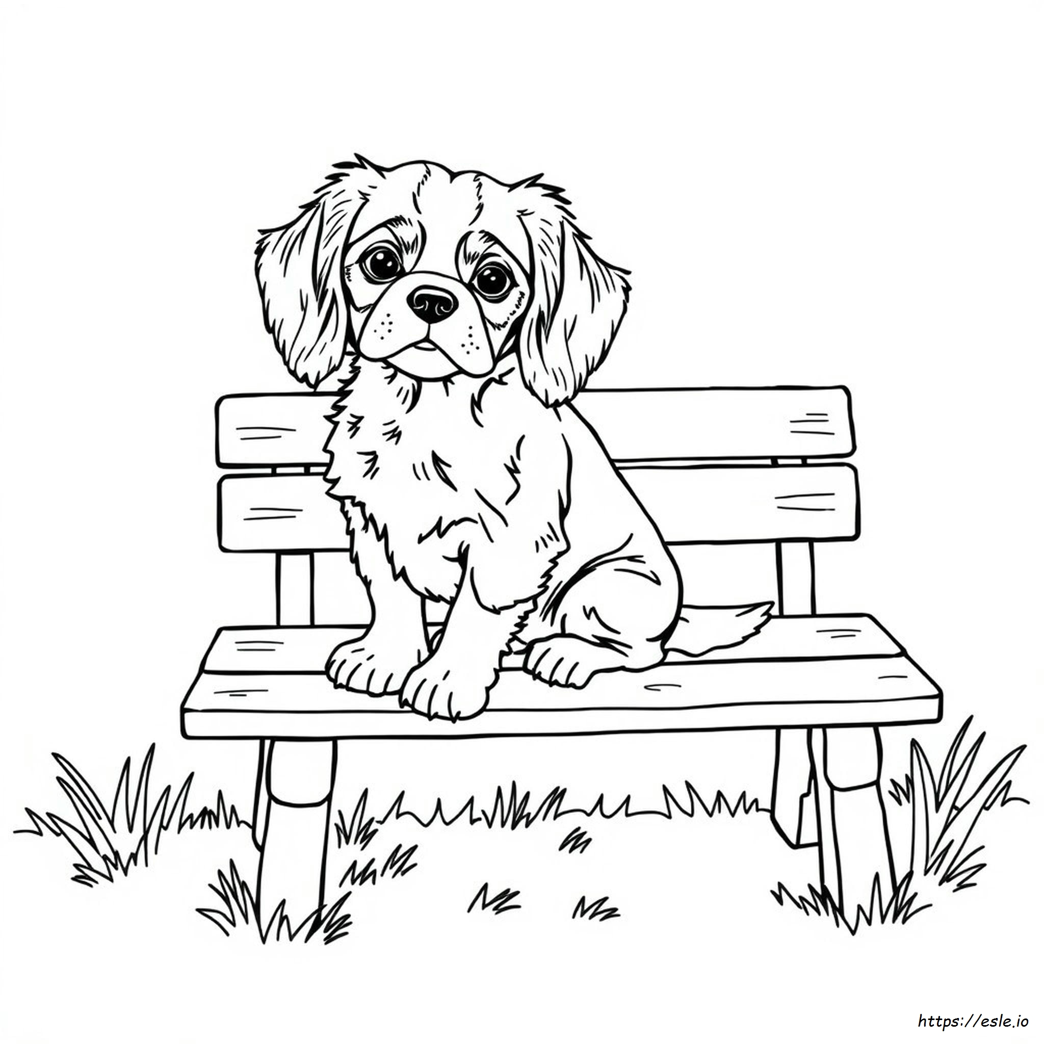 Printable Cavalier King Charles Spaniel Coloring Pages