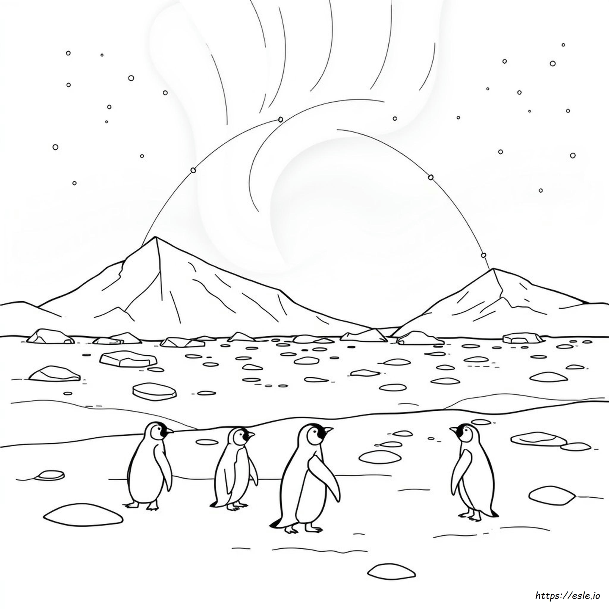 Arctic Habitat Coloring Pages