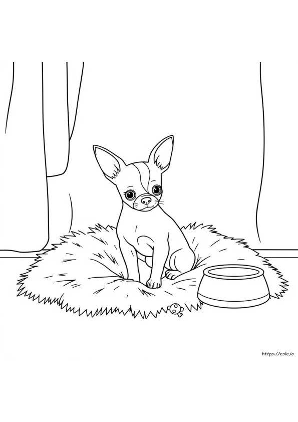 Chihuahua Boyama Sayfaları