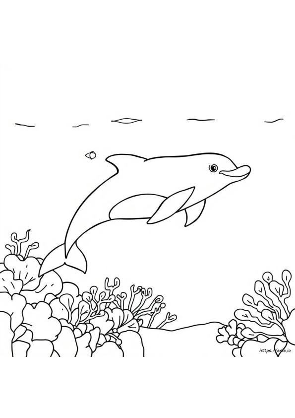 Disznódelfin Színező Oldalak