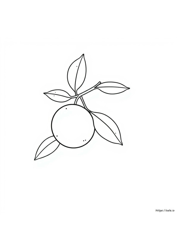 塗り絵 オレンジクリップアート 白黒
