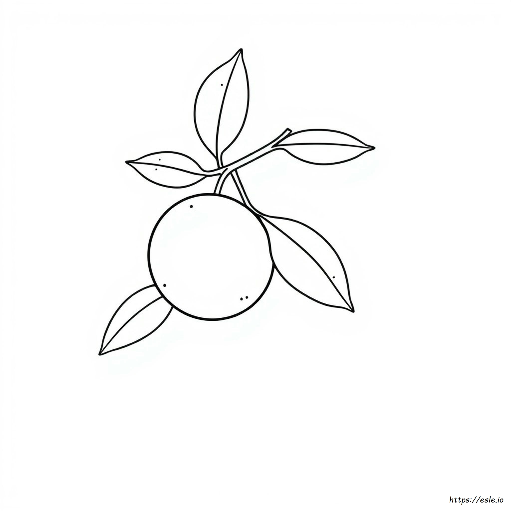 Coloring Orange Clipart Black And White