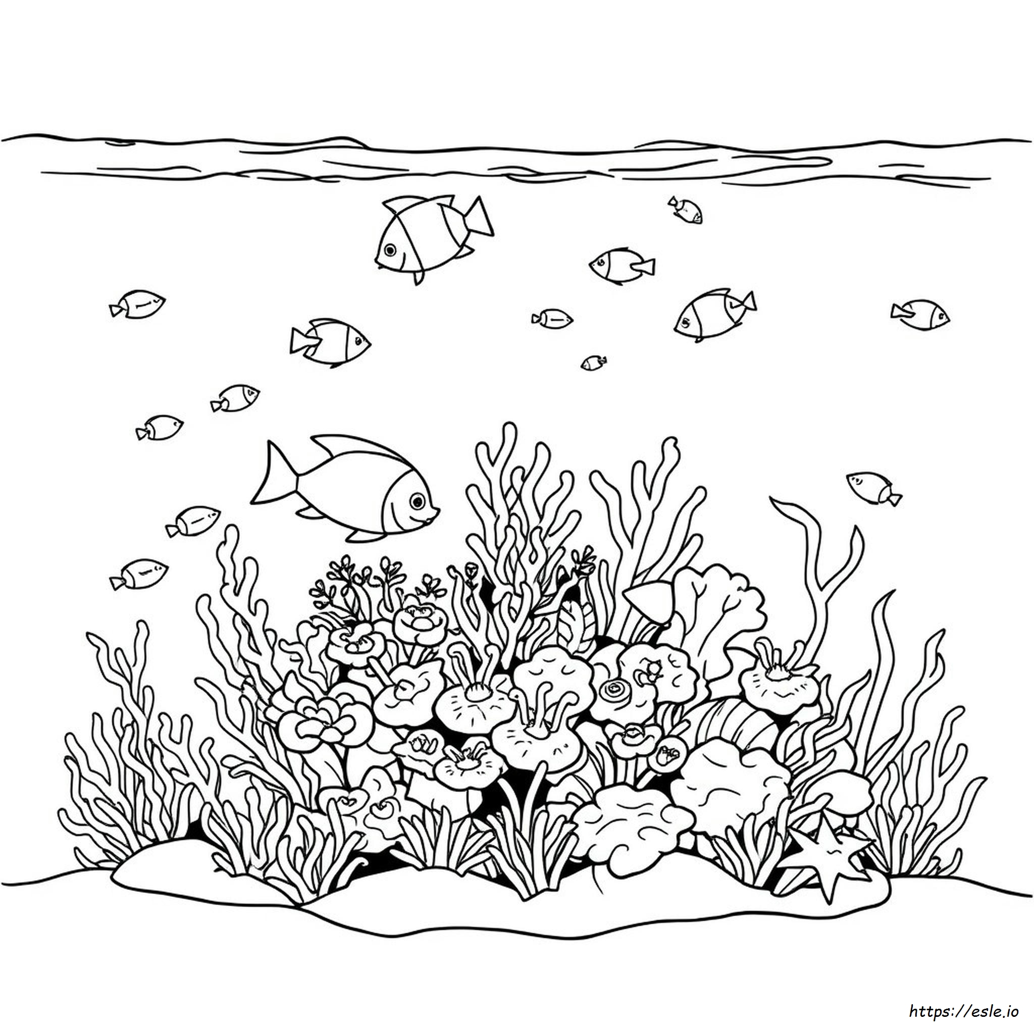 Coral Reef Coloring Pages Printable