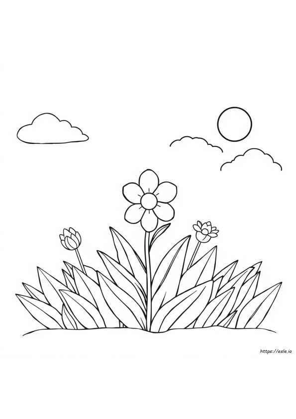 Páginas Para Colorear Gratis: Flores De Primavera