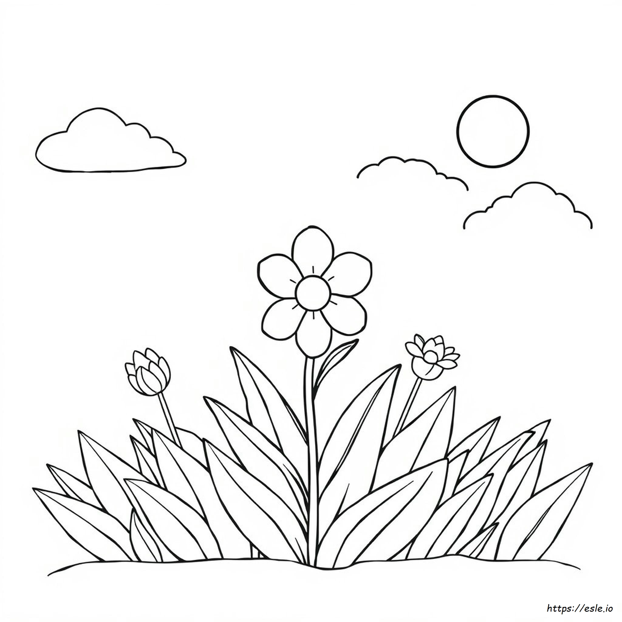 Free Coloring Pages Spring Flowers