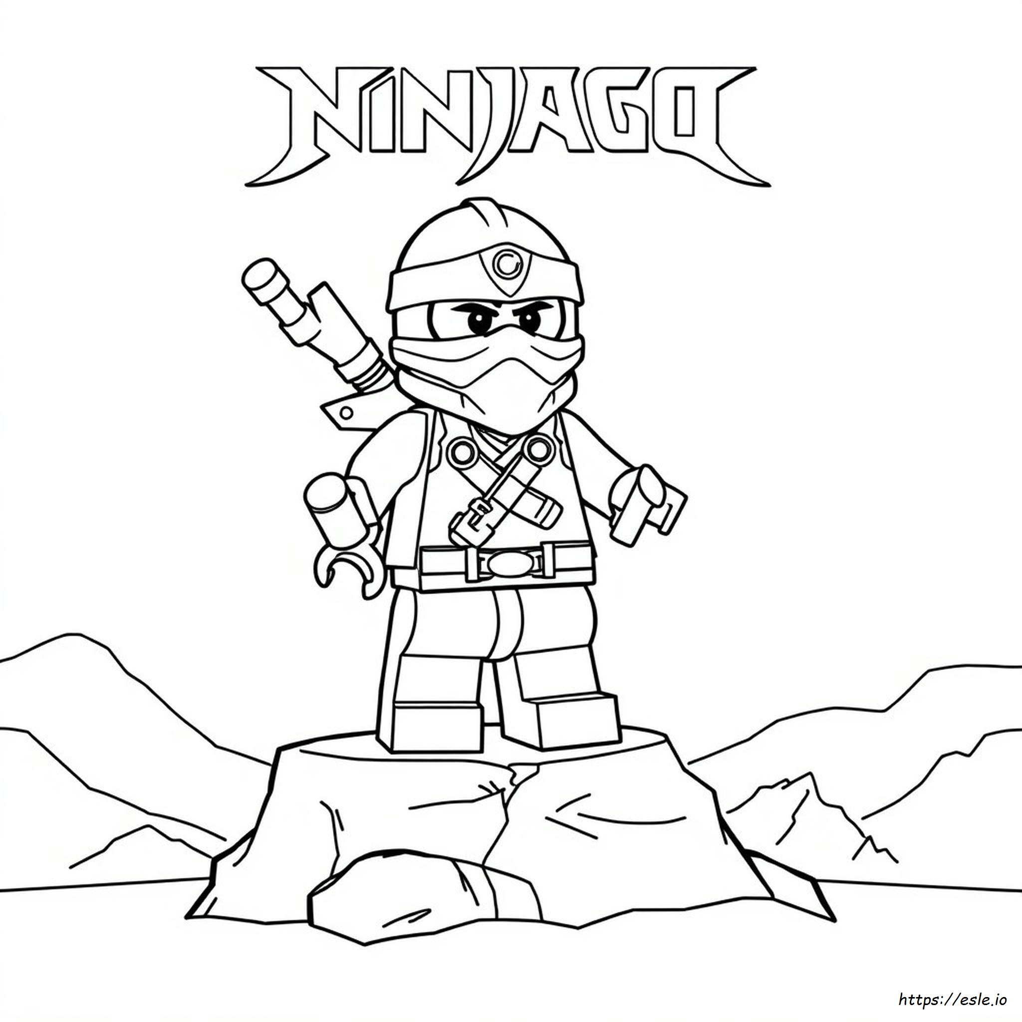 Lego Ninjago Harumi Coloring Pages
