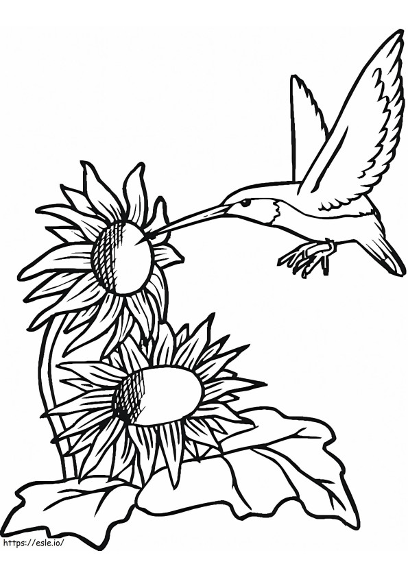 Coloriage Colibri avec tournesols à imprimer dessin