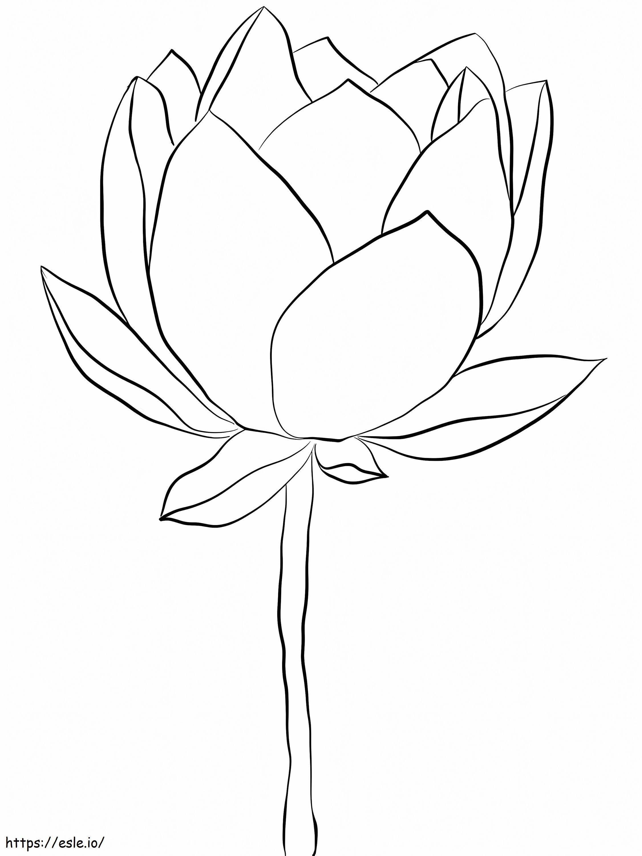 Eenvoudige lotusbloem kleurplaat kleurplaat