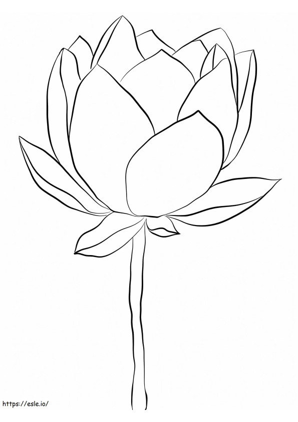 Prosty lotos kolorowanka
