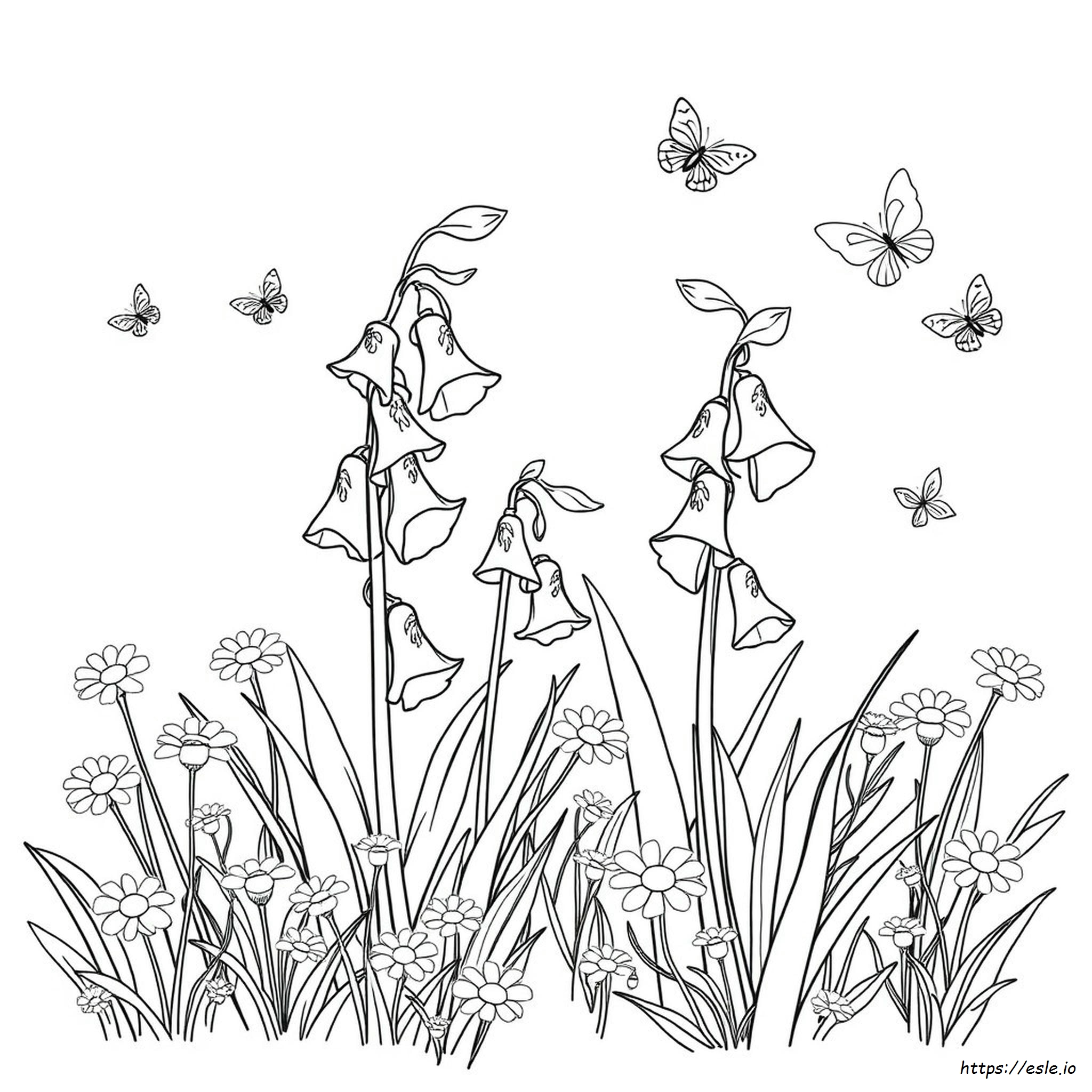 Bluebell Coloring Page
