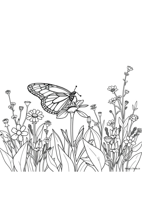 Mariposa Monarca Para Colorear Pdf