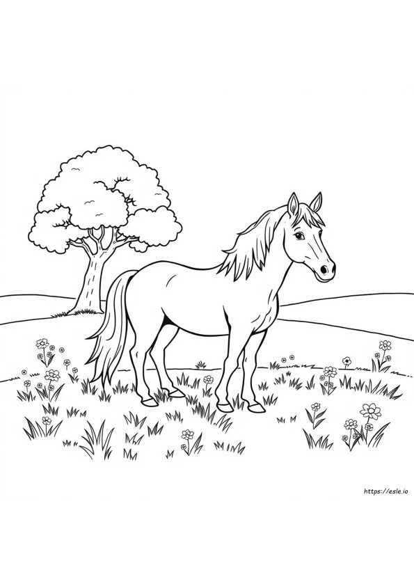 Paarden Kleurplaten Gratis