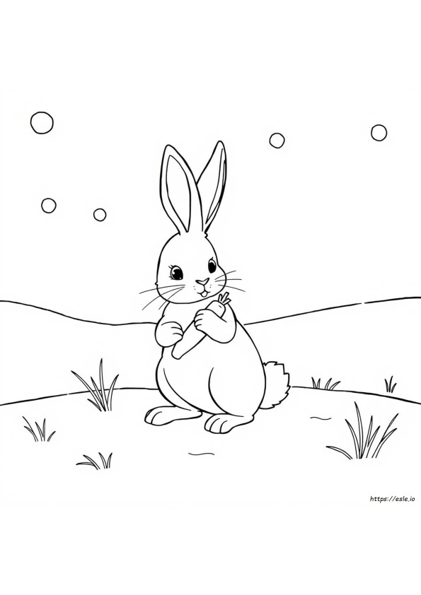 Coelhos Cottontail Mudam De Cor No Inverno