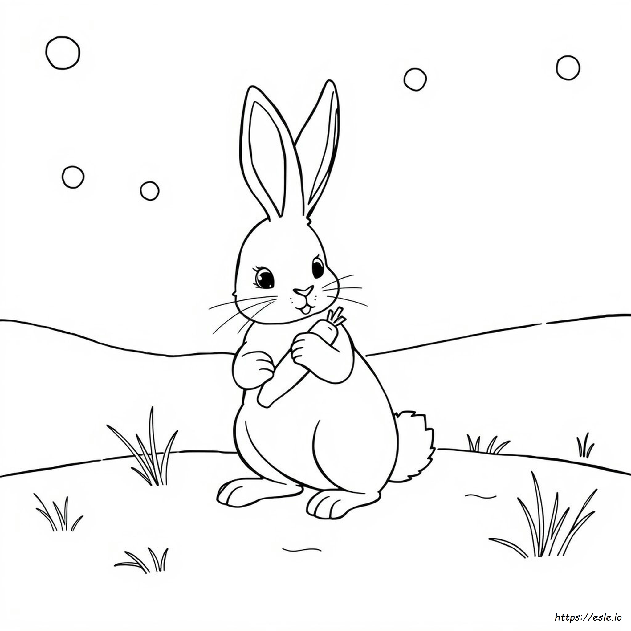 Do Cottontail Rabbits Change Color In The Winter