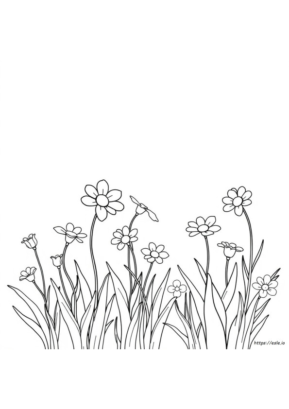 Desenhos Para Colorir De Maio