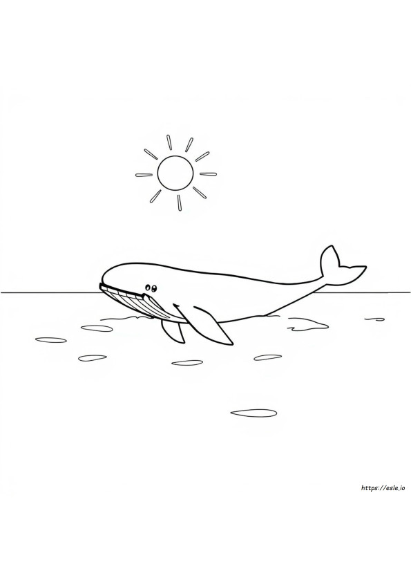 Ballena Para Colorear