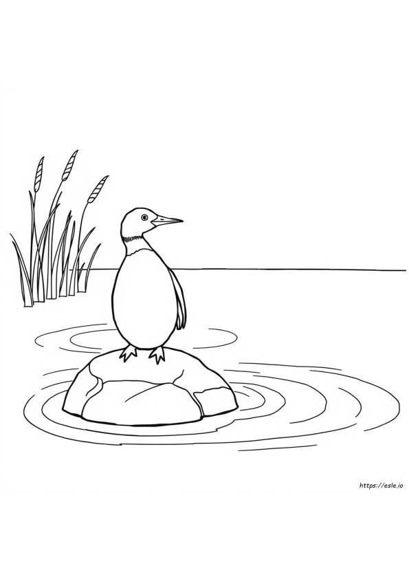 Loon Coloring Page