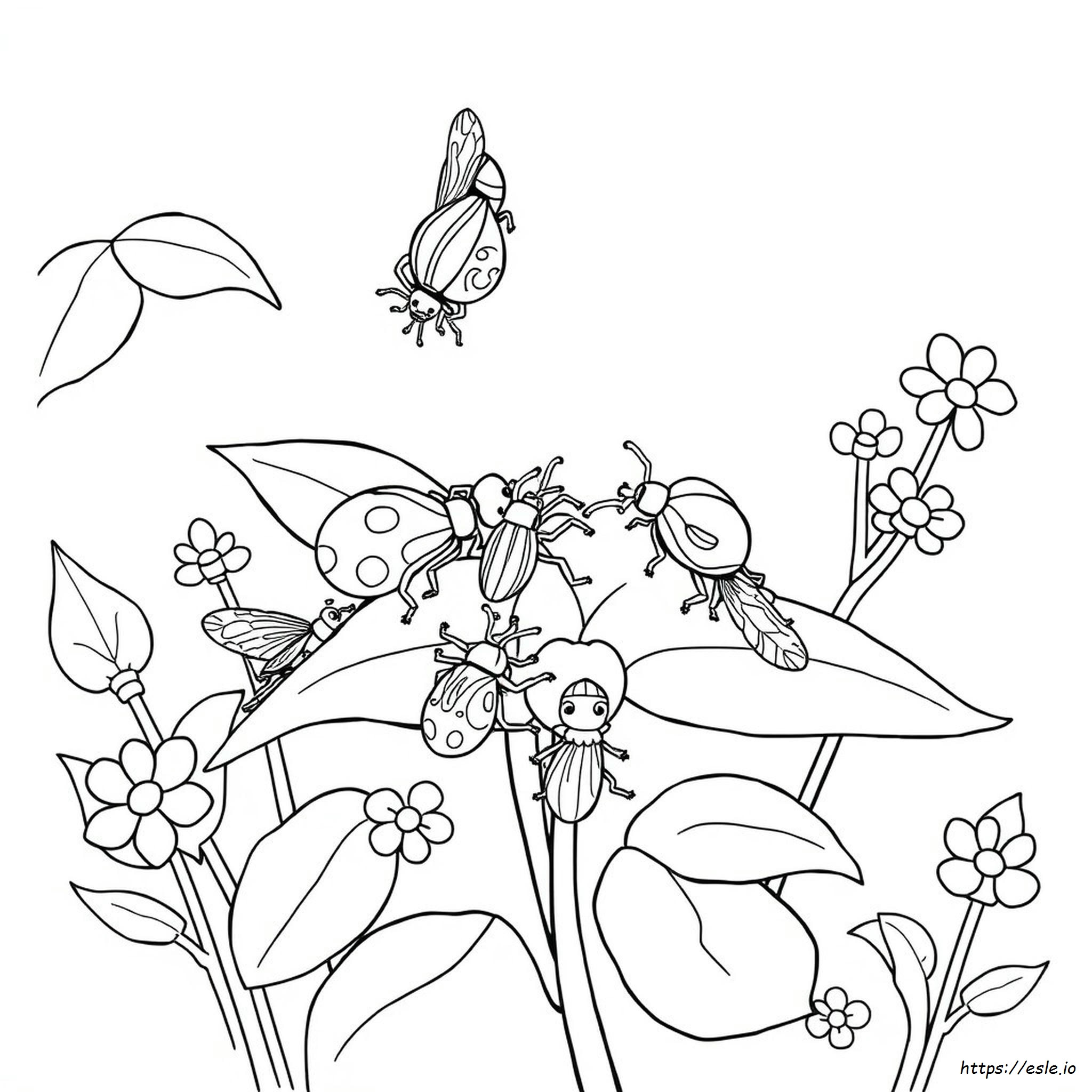 Insect Coloring Sheets