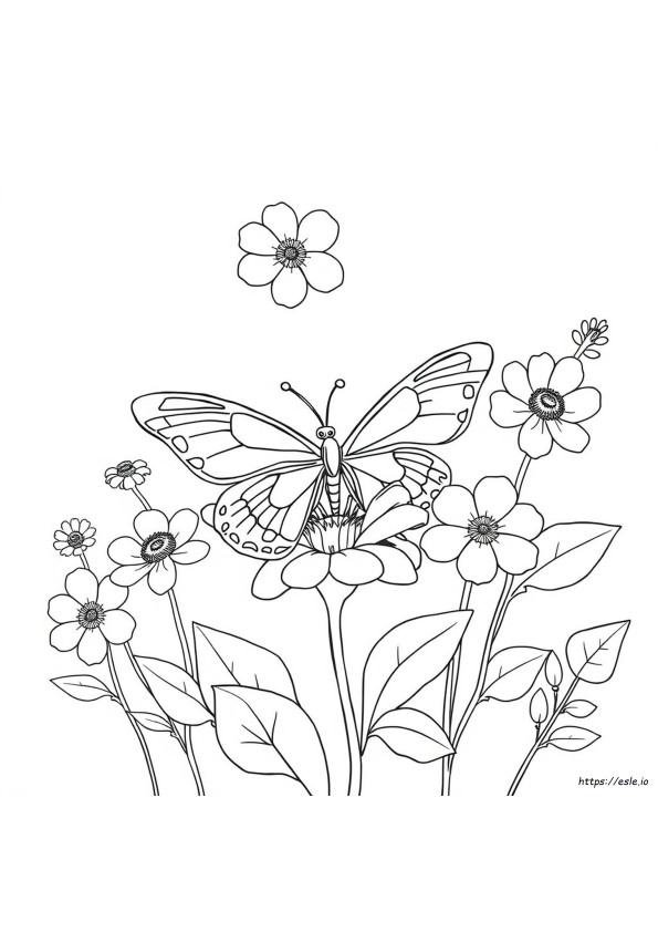 Mariposas Florales Para Colorear