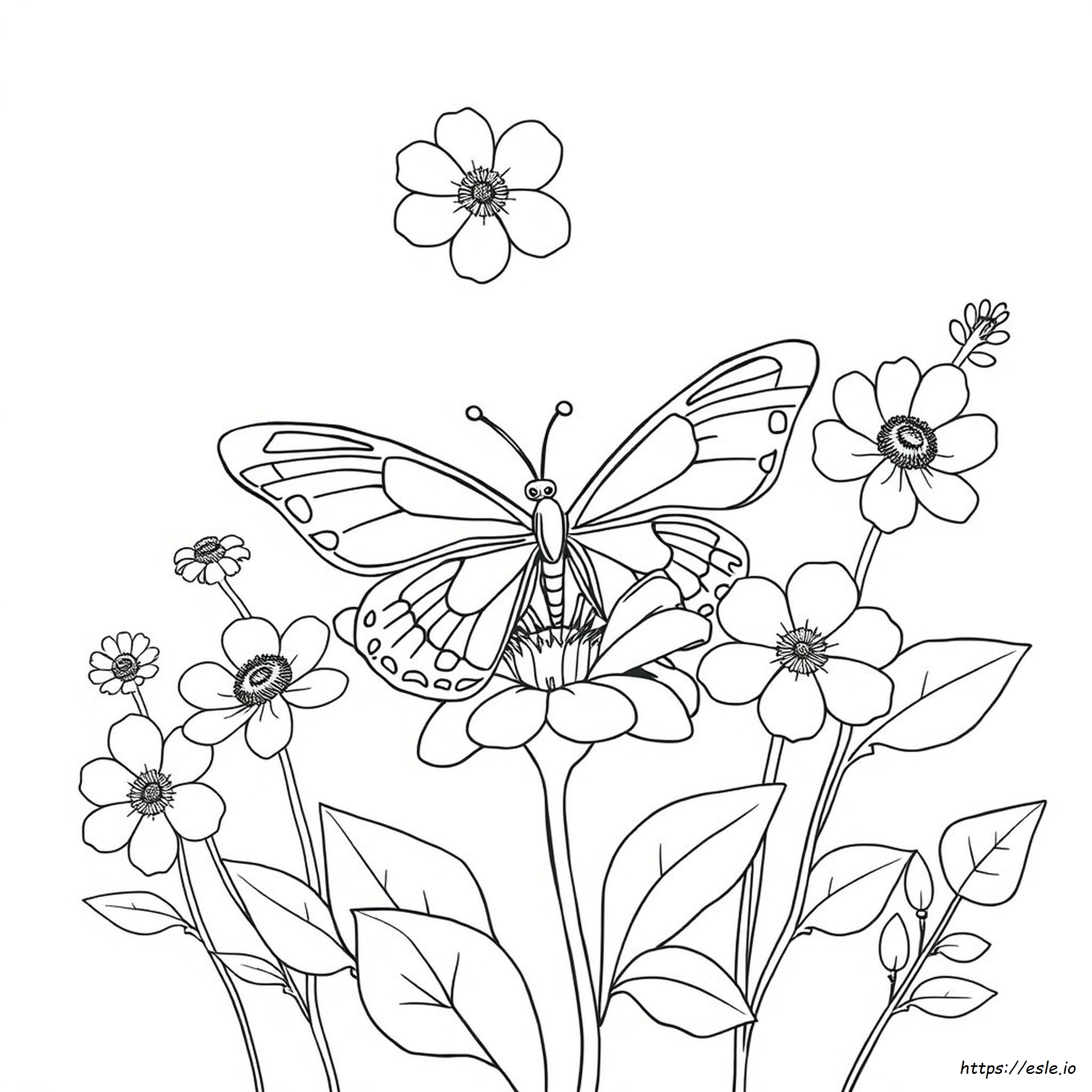 Floral Butterfly Coloring Pages