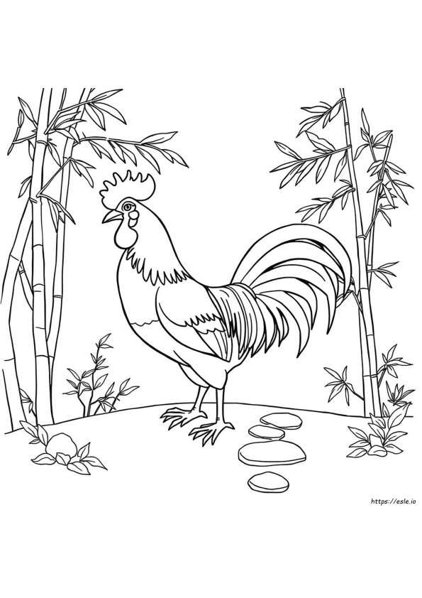 Gallo Chino Para Colorear