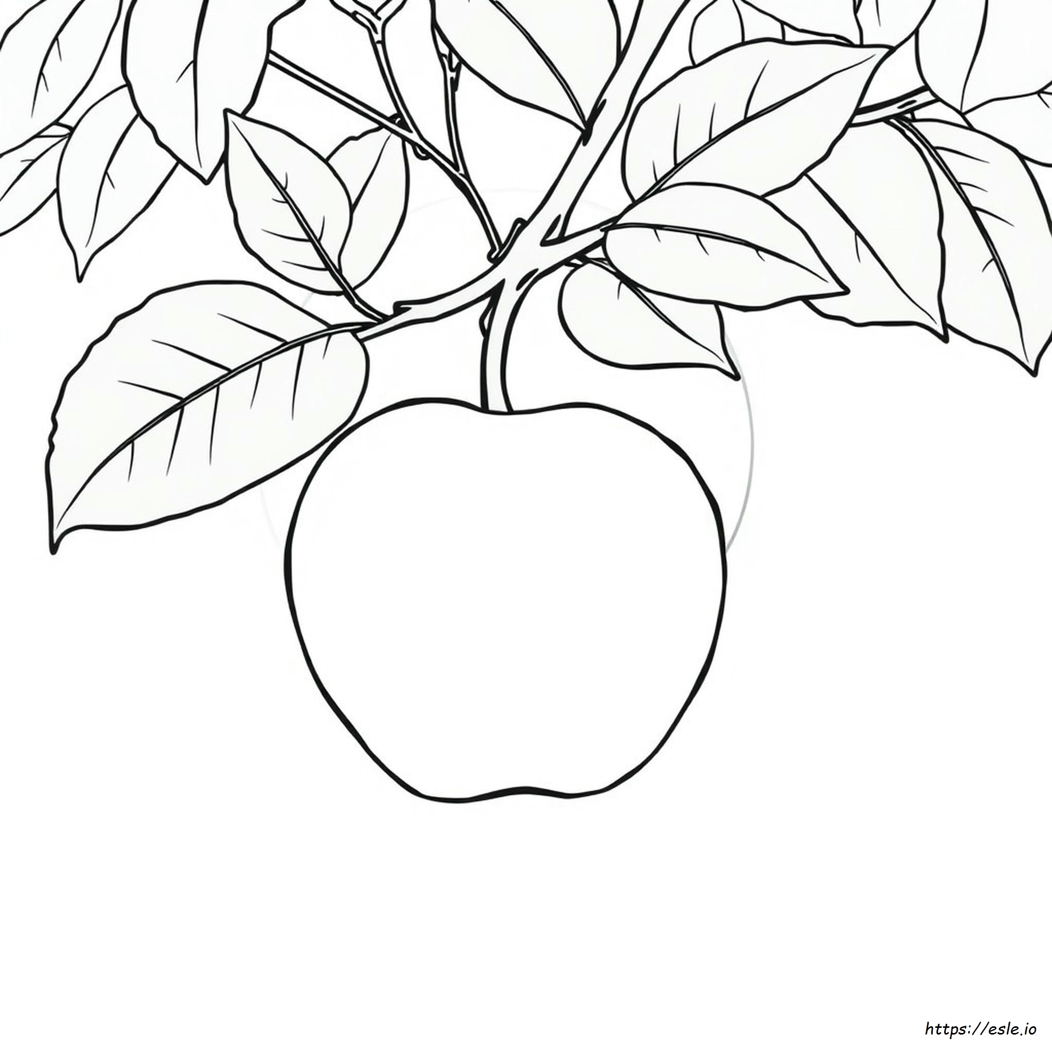 Apfel Ausmalbilder Pdf