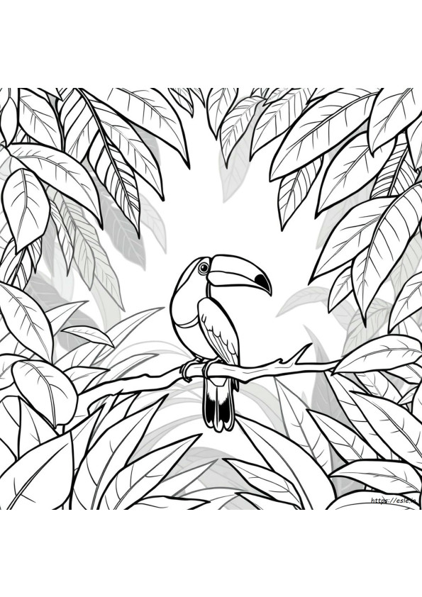 Tucano Para Colorir