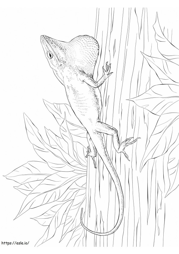 Green Anole A4 coloring page