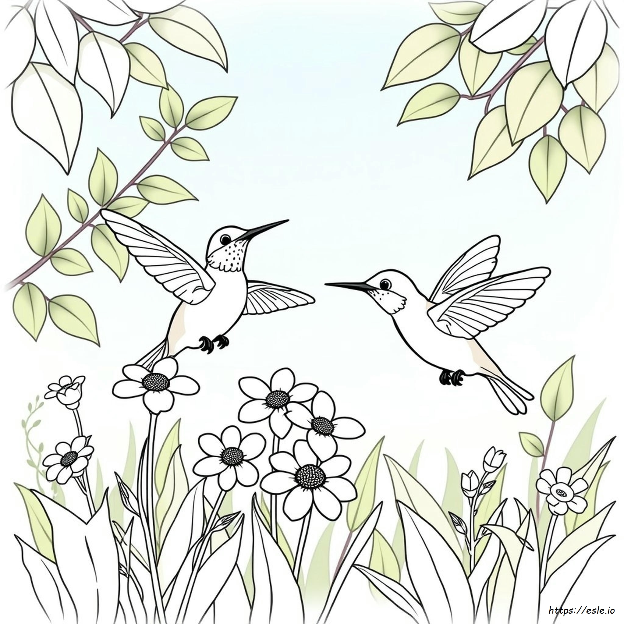 Coloriage Colibris Mignons