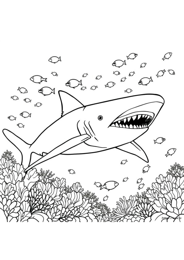 Coloriage Mégalodon