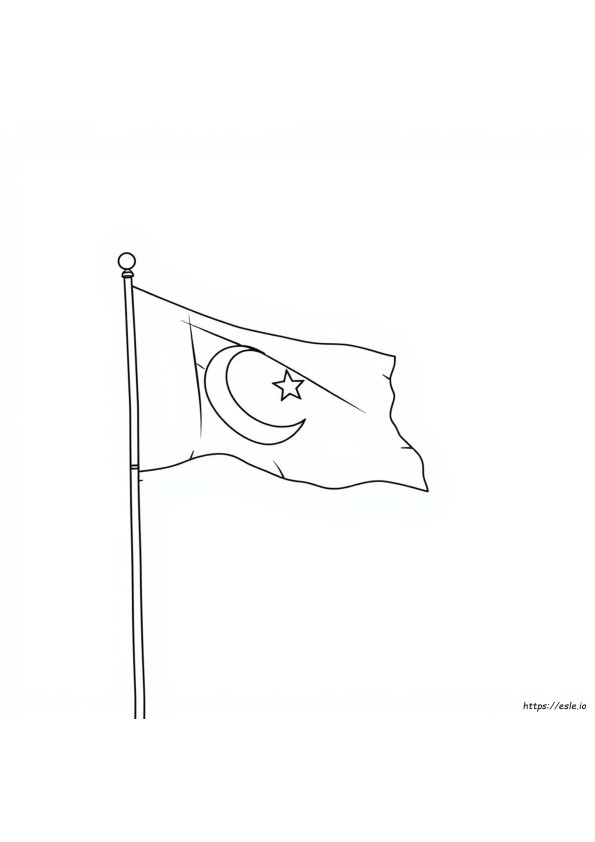 Coloriage Drapeau Du Pakistan