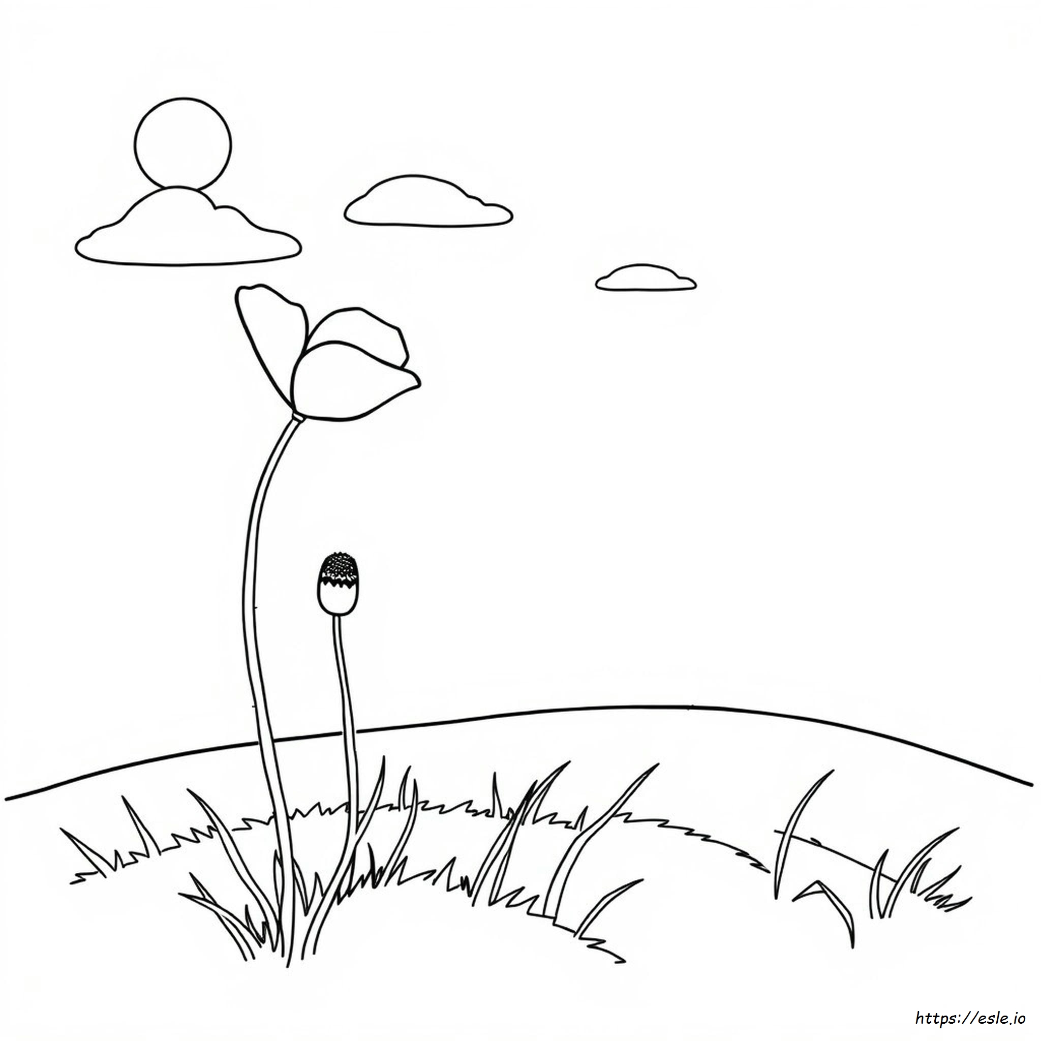 Poppy Coloring Picture